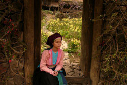 「モン族の少女　パオの物語」　Chuyen cua Pao